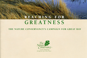 The Nature Conservancy's fundraising collateral for Great Bay by Jim Grenier dba Renegade Studios